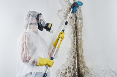 Air Duct Mold Removal in Jupiter, FL