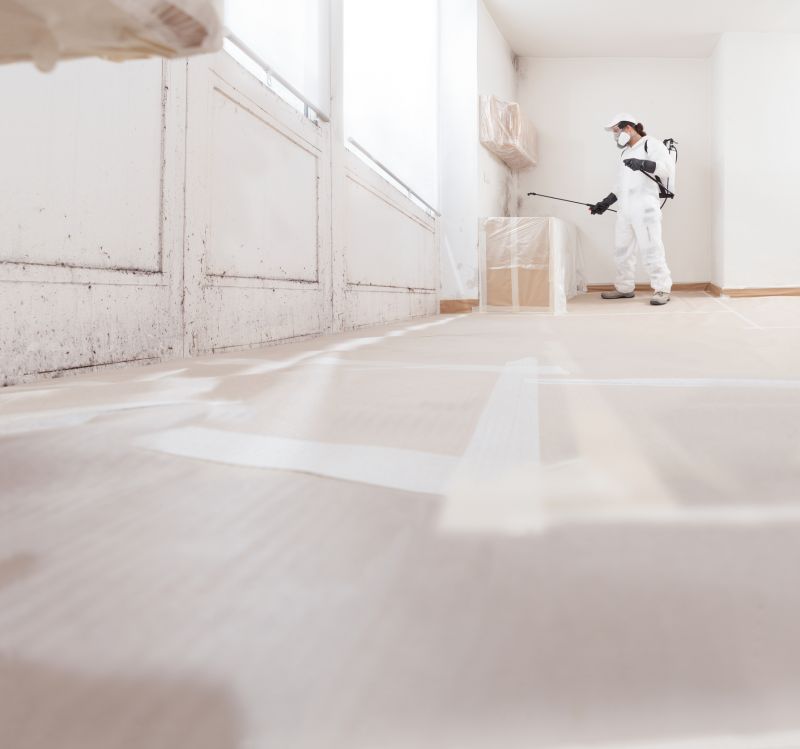 Air Duct Mold Removal in Fort Lauderdale, FL