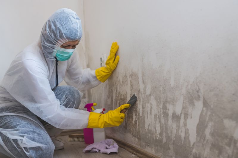 Crawl Space Mold Removal in West Palm Beach, FL