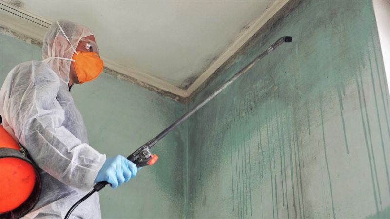 Mold Abatement Service in Boca Raton, FL