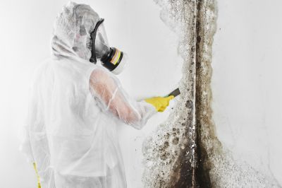 Mold Cleanup Service in Boca Raton, FL