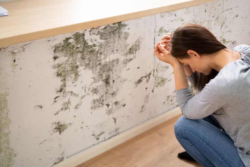 Mold Control in Boynton Beach, FL