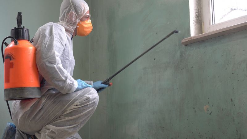 Mold Control in Boca Raton, FL
