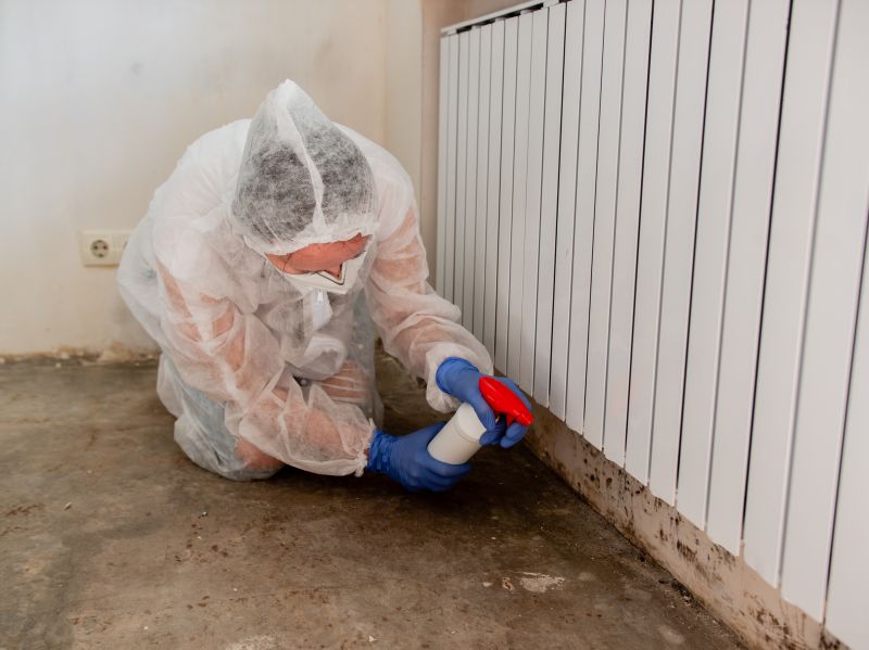 Mold Mitigation Service in Fort Lauderdale, FL