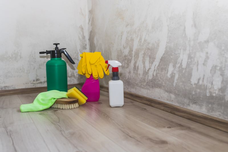 Mold Remediation Service in West Palm Beach, FL