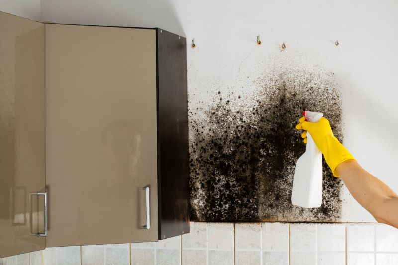 Attic Mold Removal in Jupiter, FL