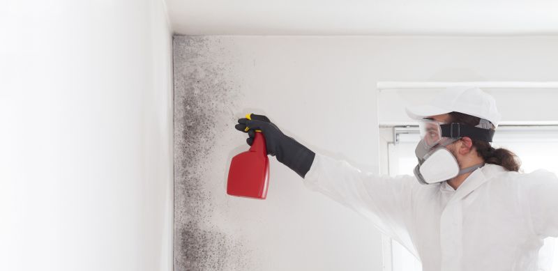 Garage Mold Remediation in Frisco, TX