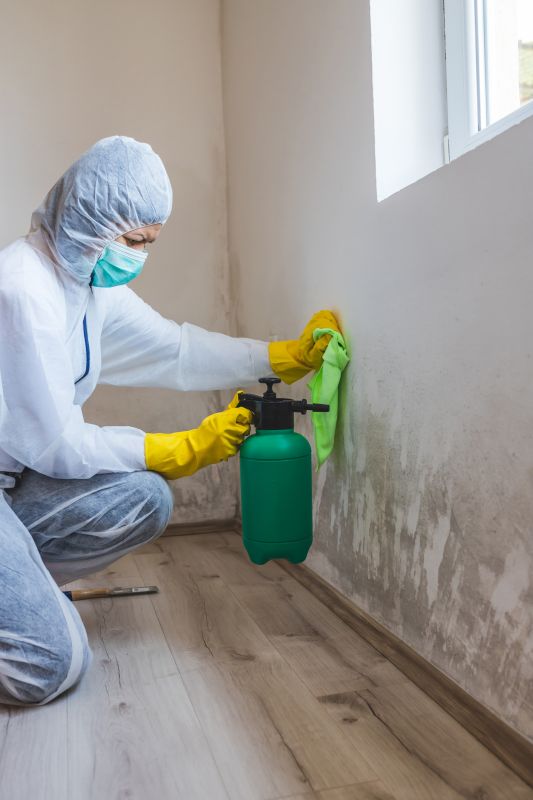 Mold Abatement Service in Frisco, TX