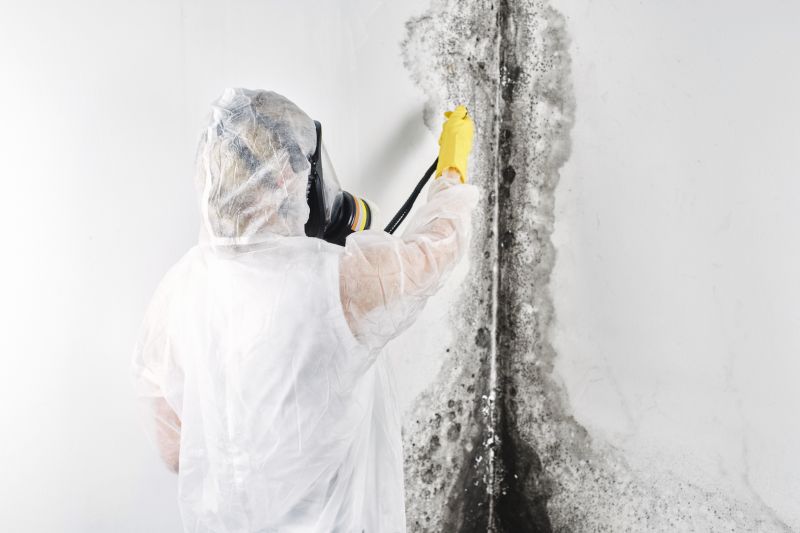 Mold Treatment Service in Jupiter, FL